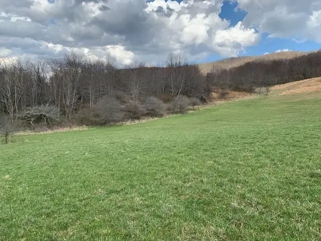 TBD Big Valley Rd, Monterey, VA 24465 - #2