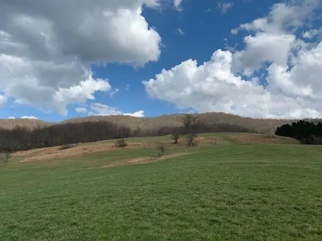 TBD Big Valley Rd, Monterey, VA 24465 - #3