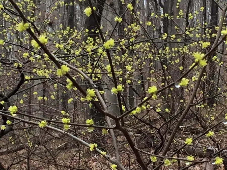 tbd Round Hill School Rd, Fort Defiance, VA 24437 - #3