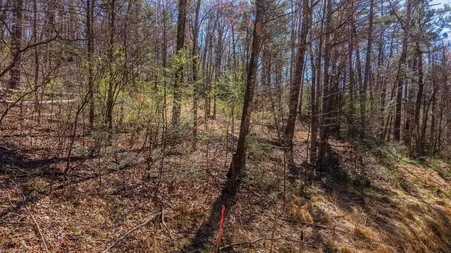 TBD Shell Hollow Ln, Dayton, VA 22821 - #2