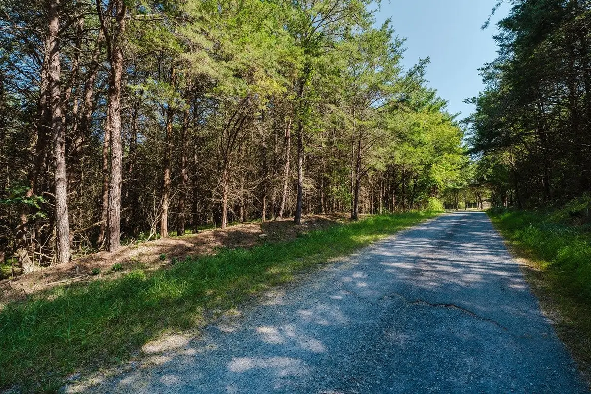 TBD River View Rd, Luray, VA 22835 - #1