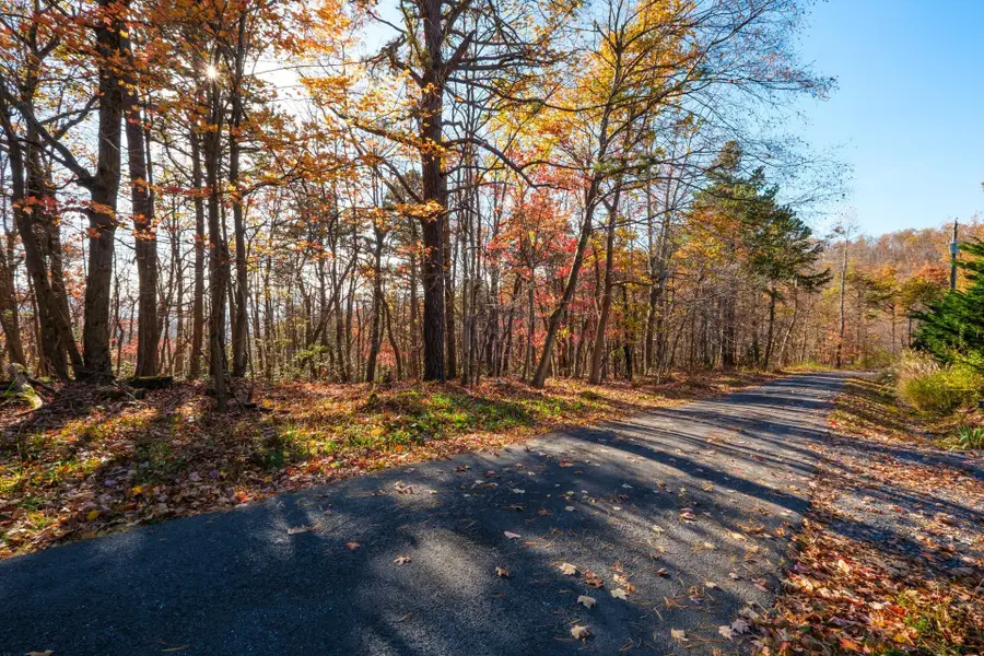 Old Stony Ridge Rd, Afton, VA 22920 - #2