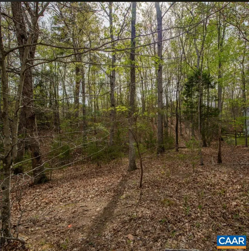 0 Turkeysag Trl, Palmyra, VA 22963 - #1