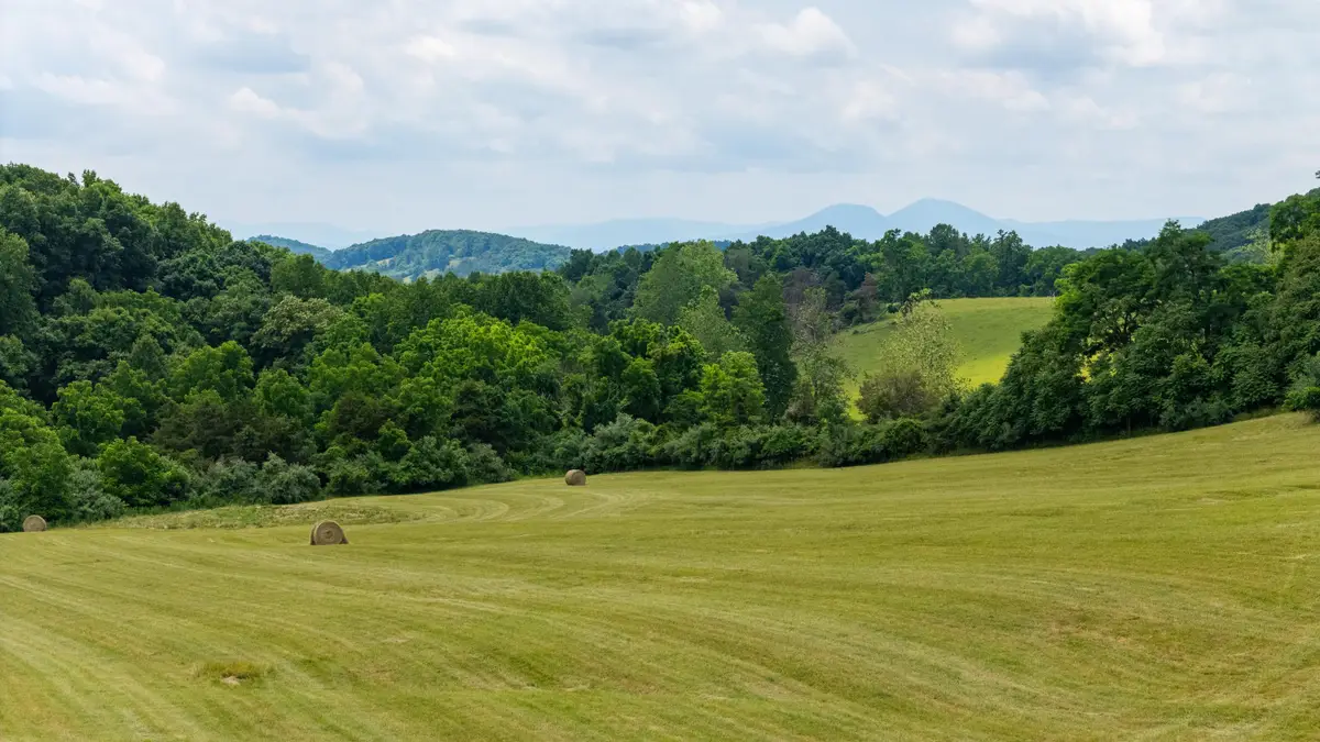 25 Koogler Trl, Raphine, VA 24472 - #1
