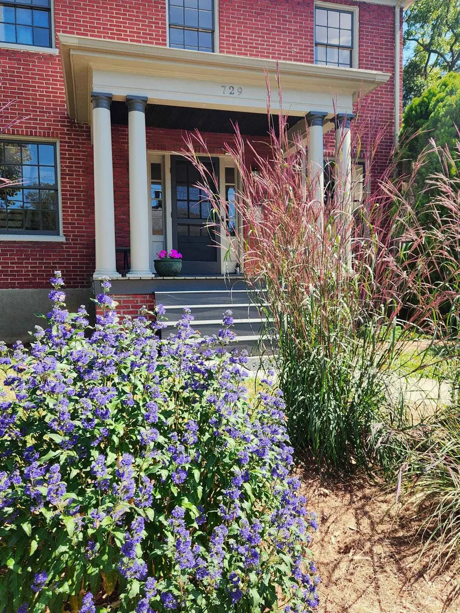 729 Selma Blvd, Staunton, VA 24401 - #3