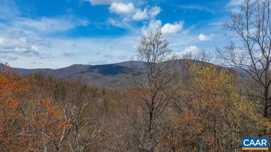 472 Horseshoe Mountain Rd, Roseland, VA 22967 - #3