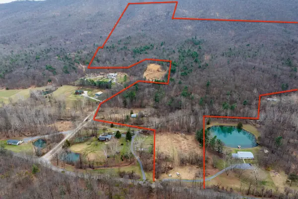 163 acres Hopkins Gap Rd, Fulks Run, VA 22830