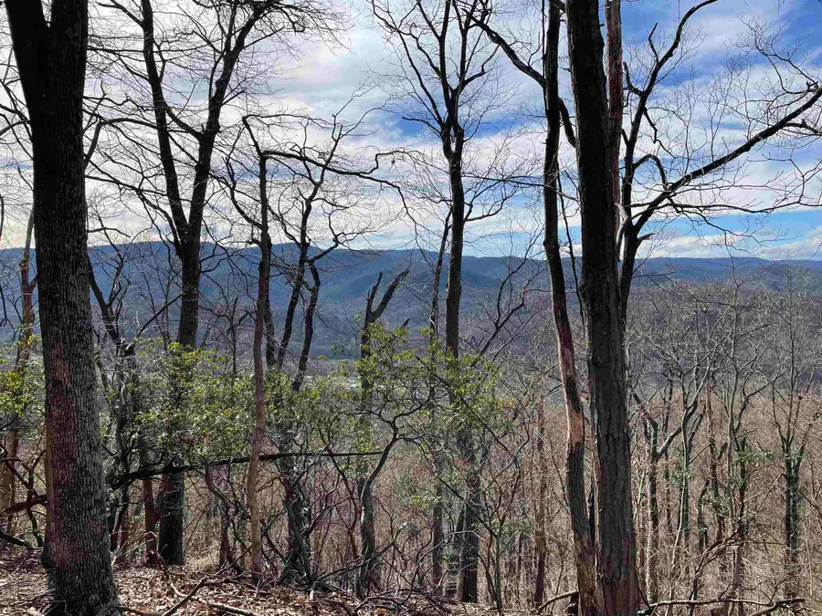 81.5 Acres Hopkins Gap Rd, Fulks Run, VA 22830 - #2