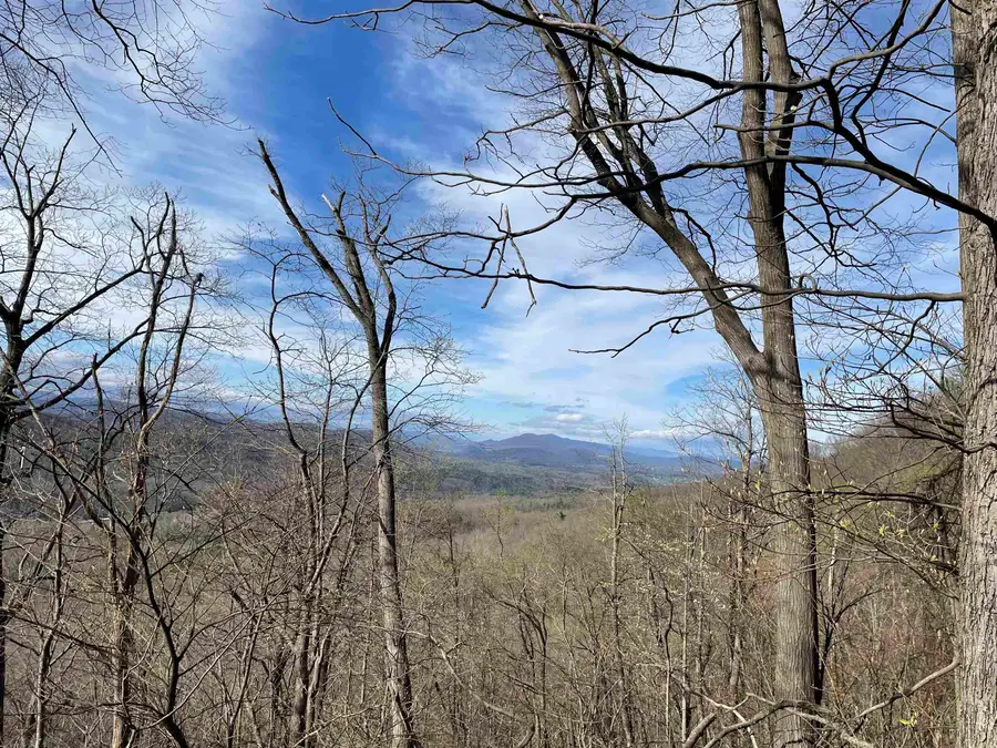 81.5 Acres Hopkins Gap Rd, Fulks Run, VA 22830 - #3