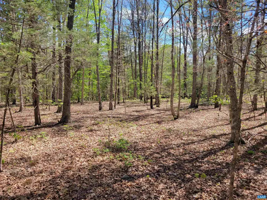 13.3 AC Glade Rd, Schuyler, VA 22969 - #2