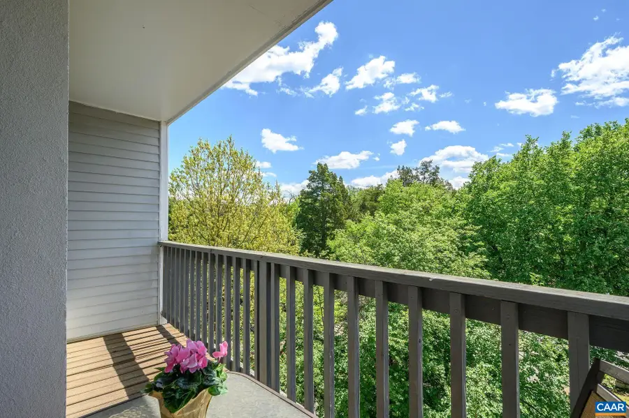 1243 Cedars Ct, Charlottesville, VA 22903 - #3