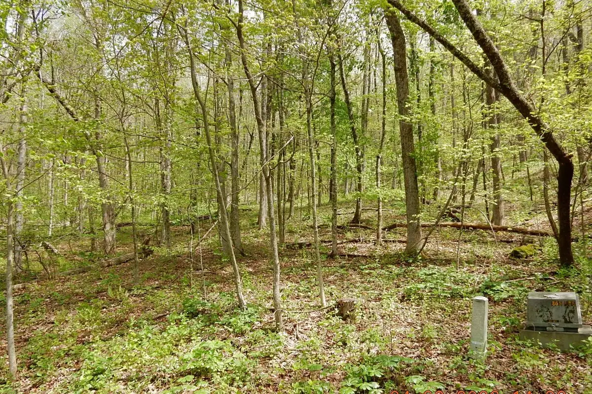 37 Flag Rock Trl, Hot Springs, VA 24445 - #1