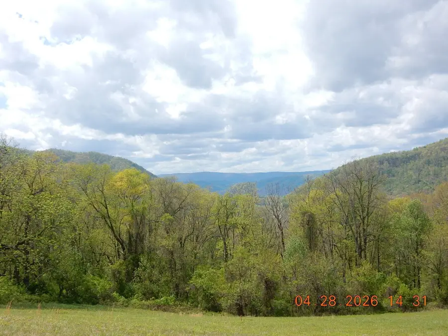 37 Flag Rock Trl, Hot Springs, VA 24445 - #2