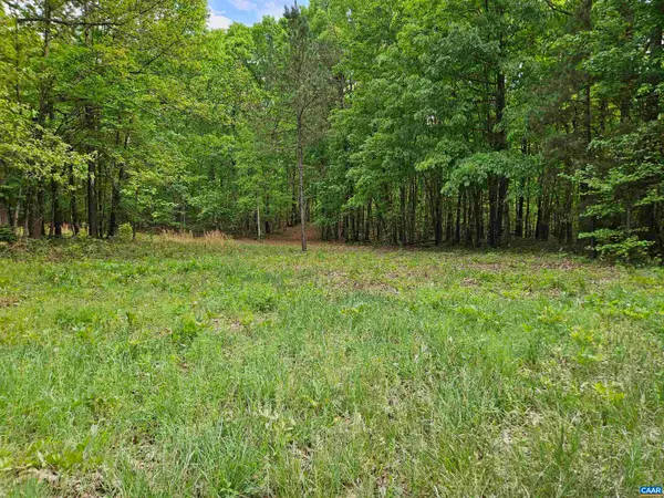 8.65 Ac Pond Rd, Buckingham, VA 23921