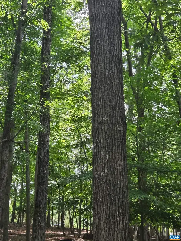 85 Laguna Rd, Palmyra, VA 22963