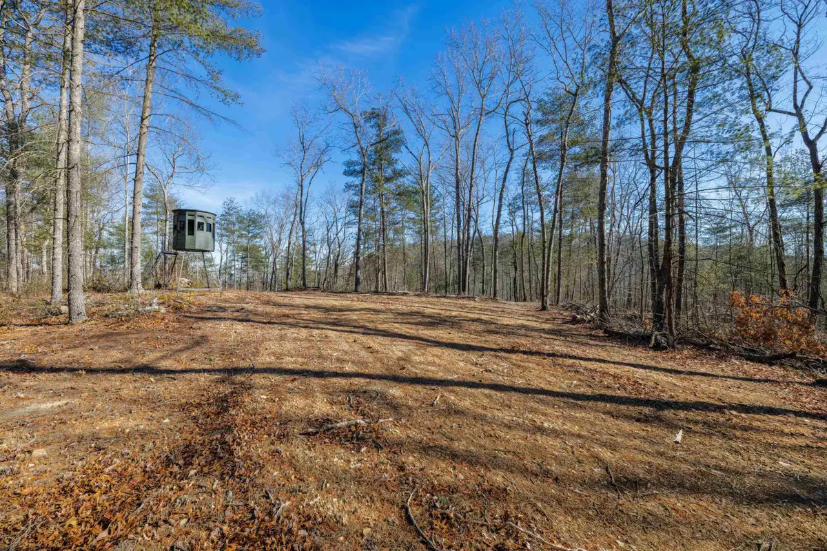 24.97 ac Stribling Springs Rd, Mount Solon, VA 22843 - #1