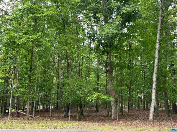 25 Laguna Rd, Palmyra, VA 22963