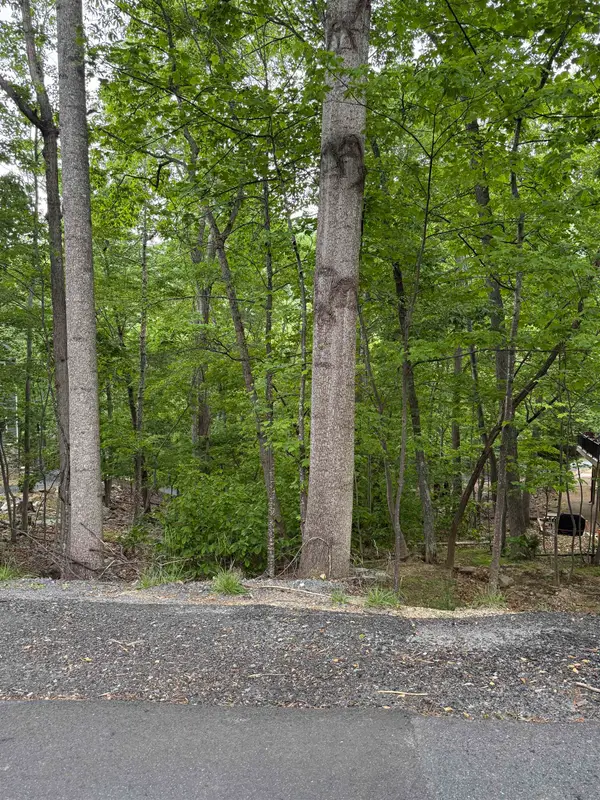 TBD Palmer Rd, Mcgaheysville, VA 22840