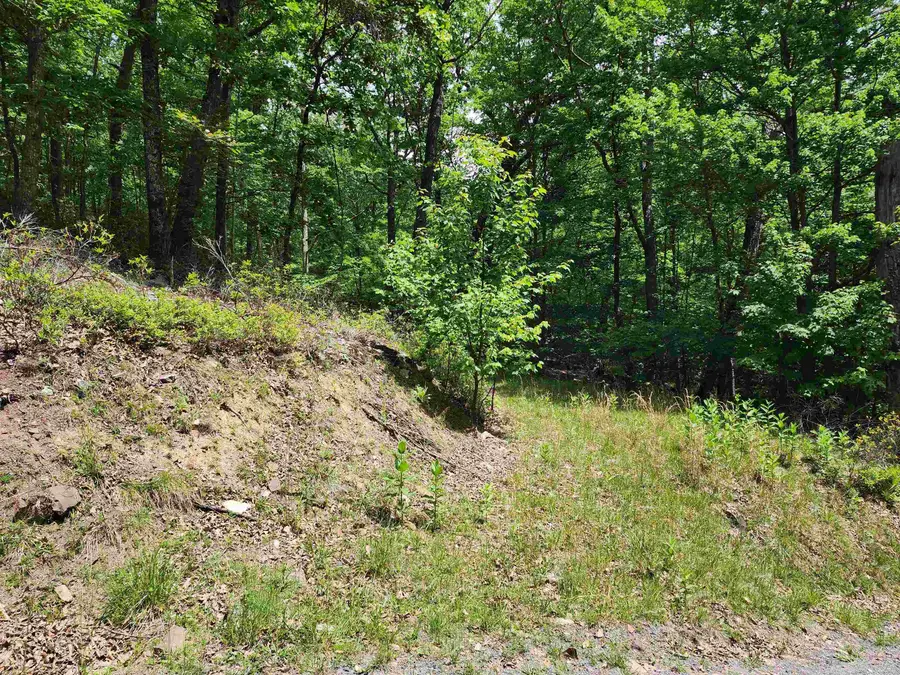 39V High Valley Dr S, Monterey, VA 24465 - #2