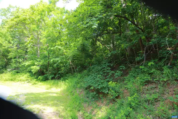1757 Black Walnut Dr, Nellysford, VA 22958