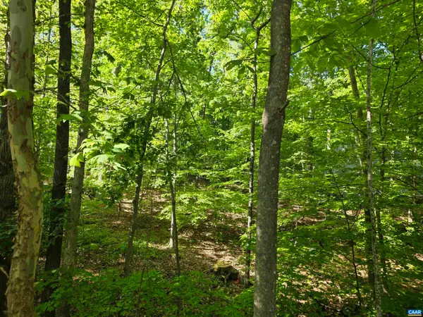 717 Jefferson Dr, Palmyra, VA 22963