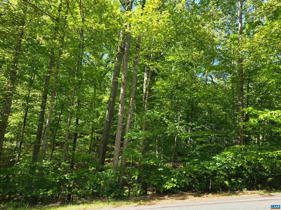 717 Jefferson Dr, Palmyra, VA 22963 - #3