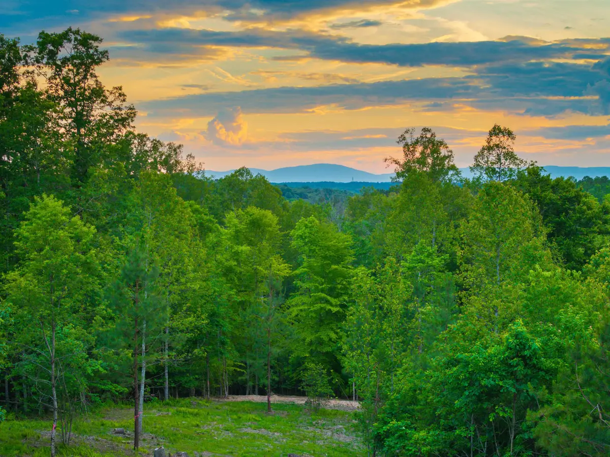 Lot 2 Gilbert Station Rd, Barboursville, VA 22923 - #1