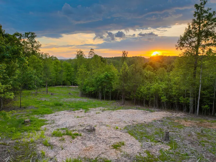 Lot 2 Gilbert Station Rd, Barboursville, VA 22923 - #2