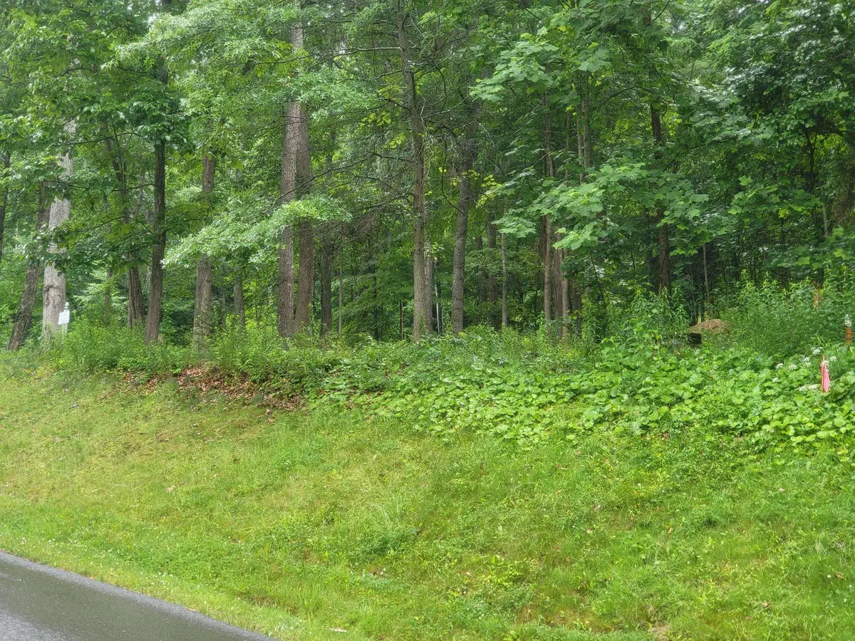Lot 50 Donald Ross Trl, Hot Springs, VA 24445 - #1