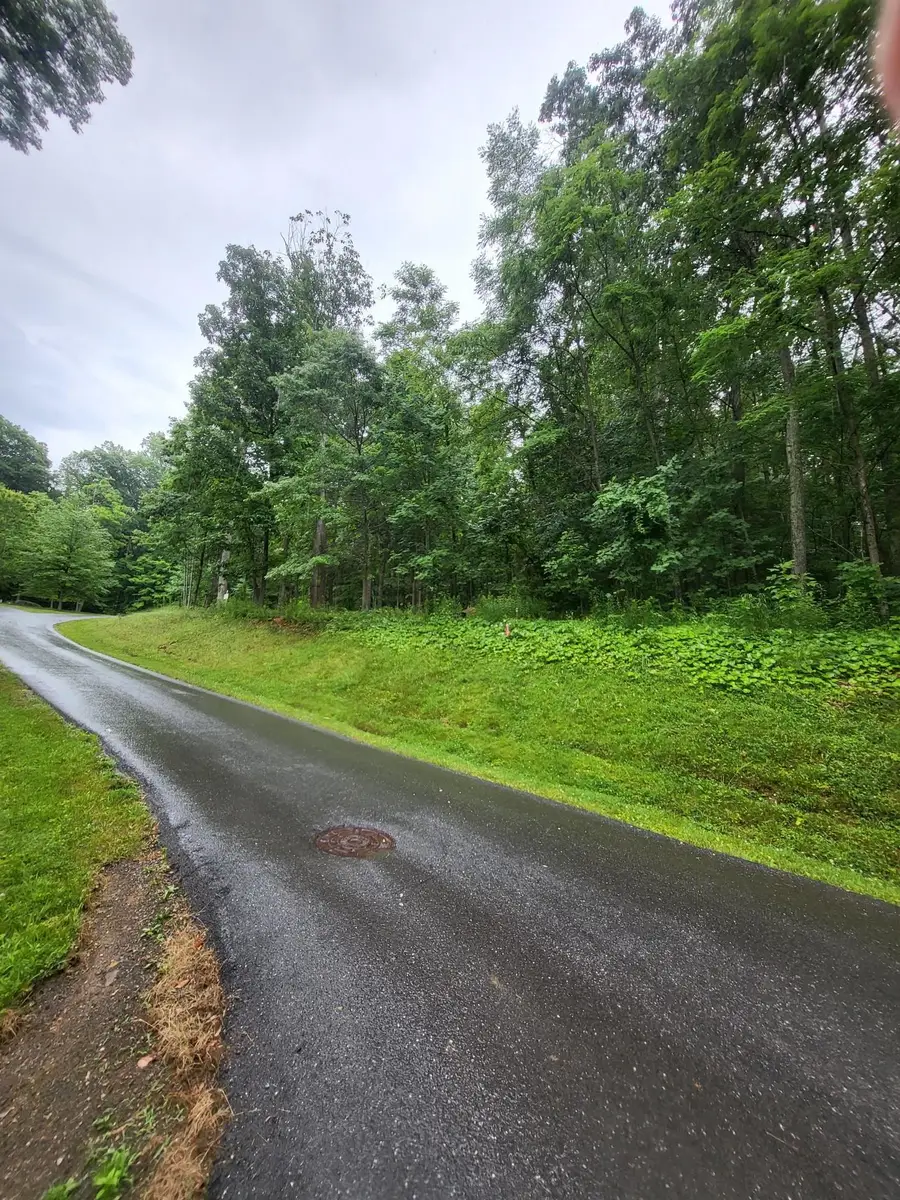 Lot 50 Donald Ross Trl, Hot Springs, VA 24445 - #2