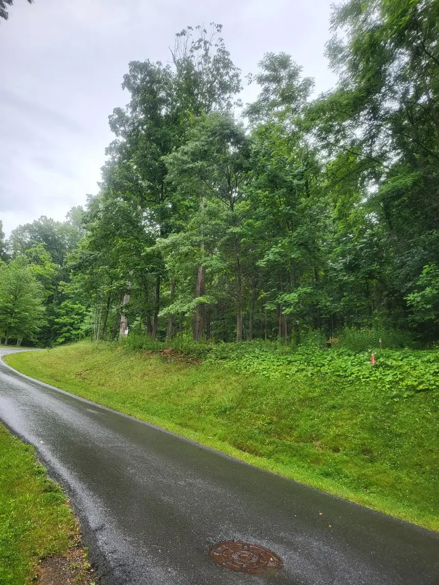 Lot 50 Donald Ross Trl, Hot Springs, VA 24445 - #3