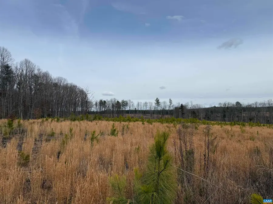 TBD Community House Rd, Kents Store, VA 23084 - #3