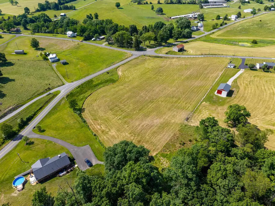 TBD Hollow Rd, Fulks Run, VA 22830 - #3