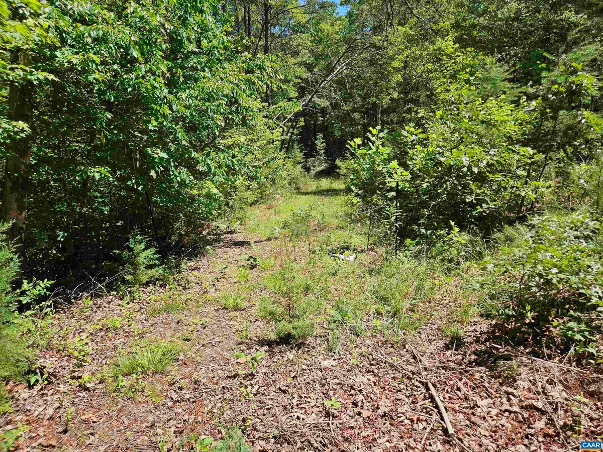 Manteo Rd, Buckingham, VA 23921 - #1