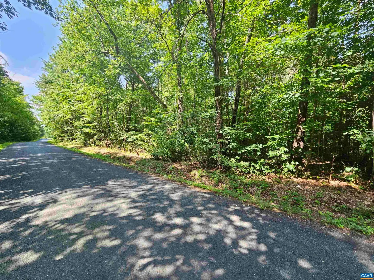 9Ac Childress Rd, Dillwyn, VA 23936 - #1