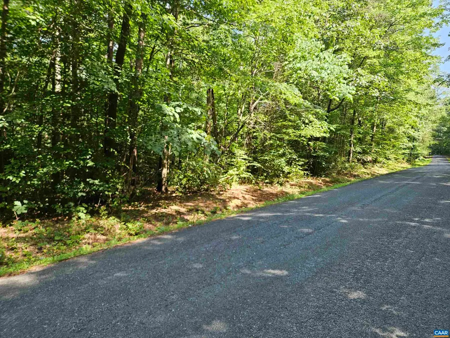 9Ac Childress Rd, Dillwyn, VA 23936 - #3