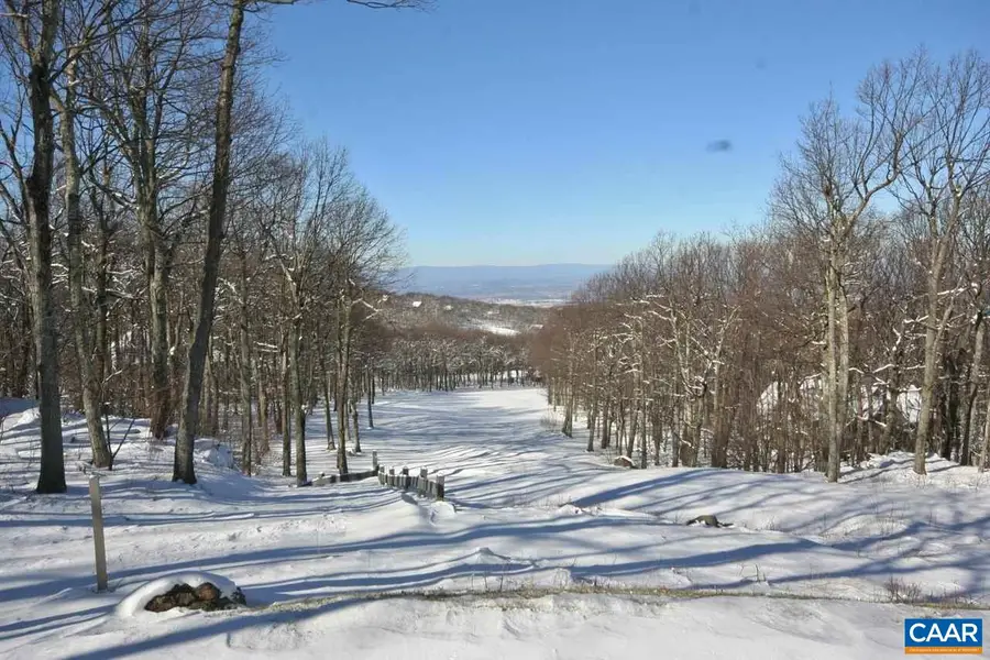 112 Fairway Oaks Ln, Wintergreen, VA 22958 - #3