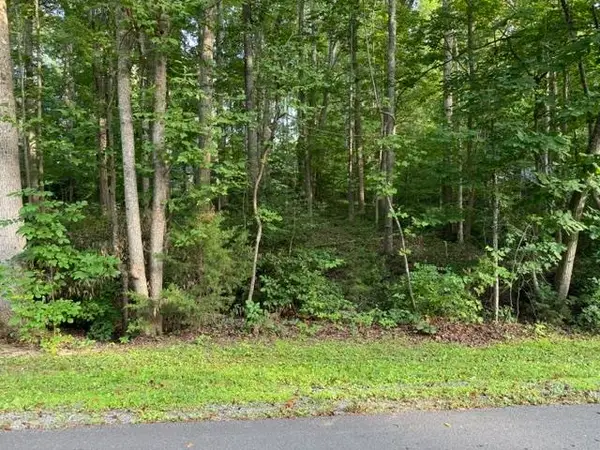 TBD Ellis Dr, Louisa, VA 23093