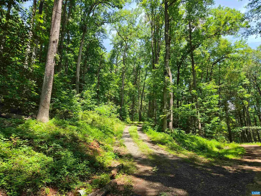 Lots 44 & 45 Red Bird Dr, Stanardsville, VA 22973 - #2