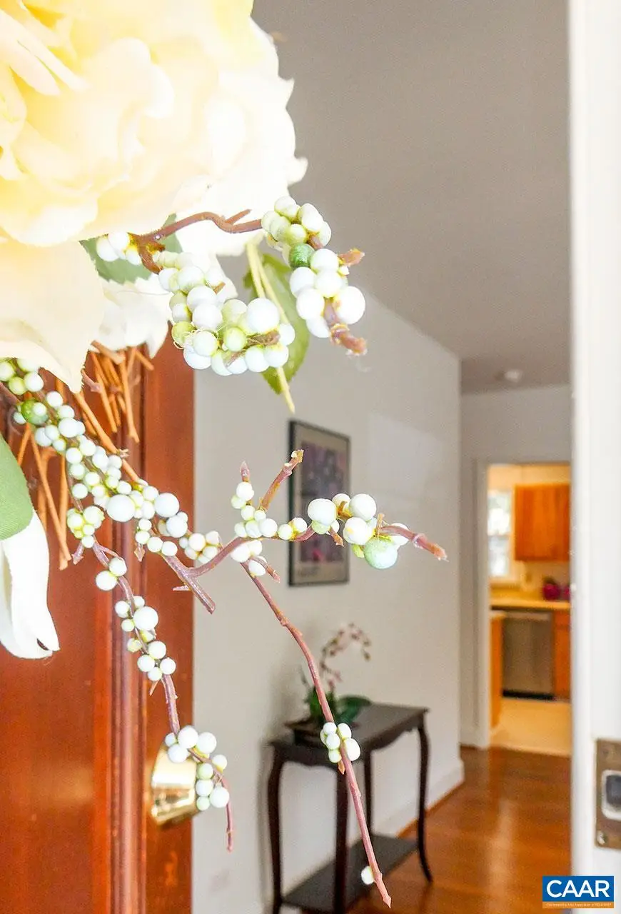 1407 Baker St, Charlottesville, VA 22903 - #2