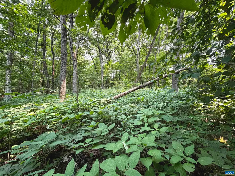 383 Timber Camp Dr, Wintergreen Resort, VA 22967 - #2