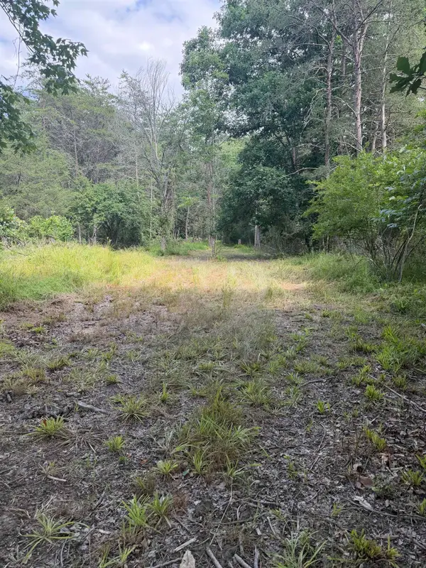11289 Cowpasture River Hwy, Millboro, VA 24460