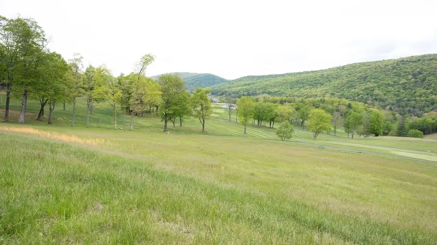 Lot 5 Golf Club Rd, Franklin, WV 26807 - #3