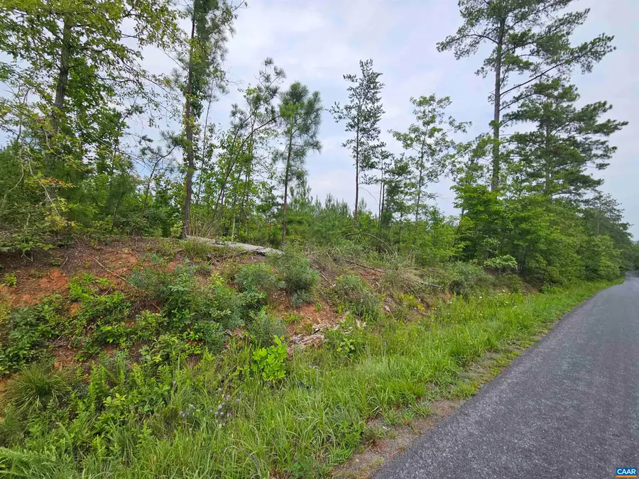 2.67 Ac Penlan Rd, Arvonia, VA 23004 - #2