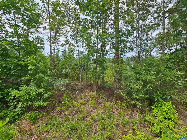 2.67 Ac Penlan Rd, Arvonia, VA 23004