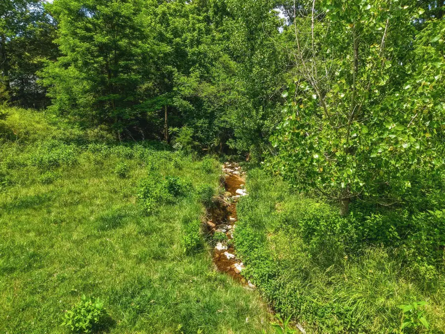 0 Newport Rd, Shenandoah, VA 22849 - #2