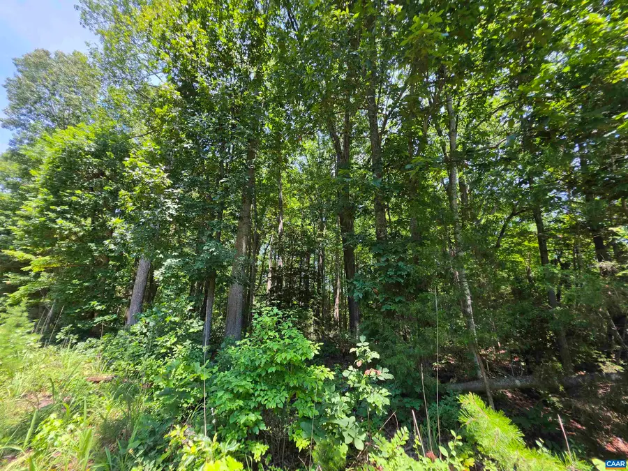 Stage Junction Rd, Columbia, VA 23038 - #3