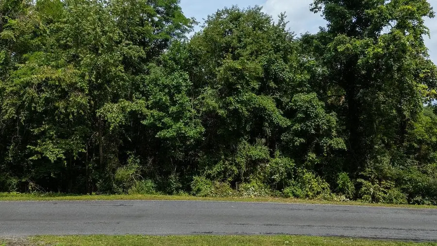 TBD Stover Shop Rd, Churchville, VA 24421 - #3
