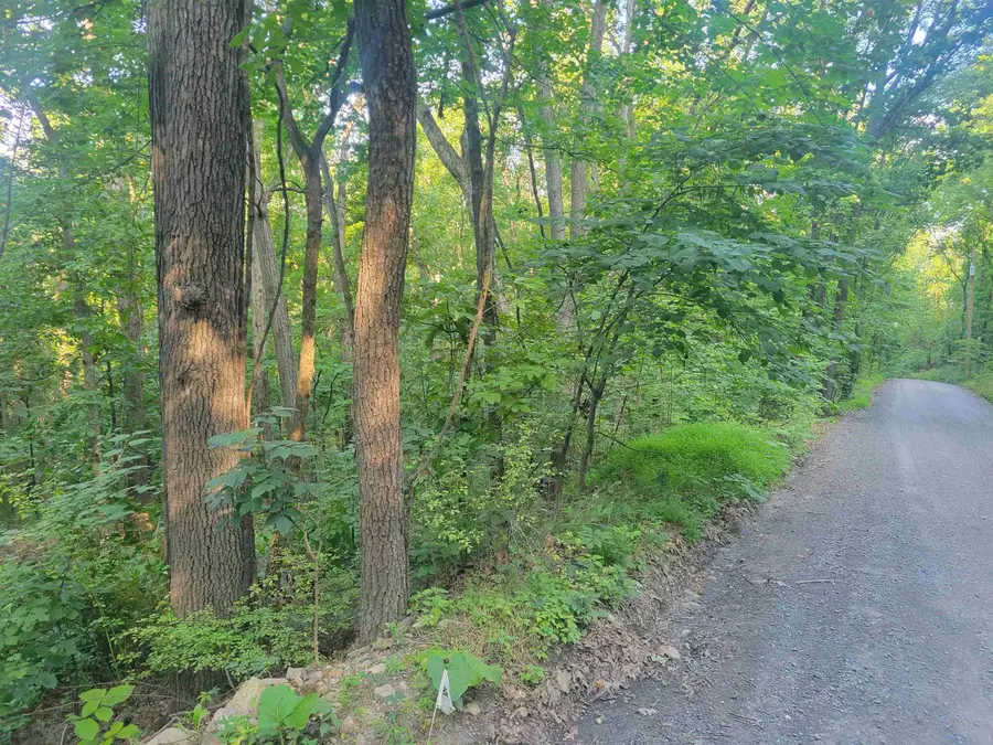 0 Sundance Mountain Rd, New Market, VA 22844 - #2