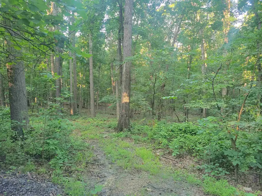 0 Sundance Mountain Rd, New Market, VA 22844 - #3
